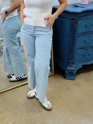 Meg High Rise Fab Ab Wide Leg in Baby Blue